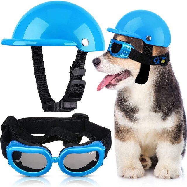 Capacete E Óculos Para Cachorros - Petit Helmet