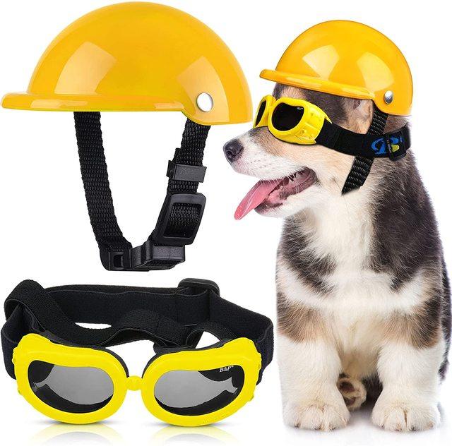 Capacete E Óculos Para Cachorros - Petit Helmet