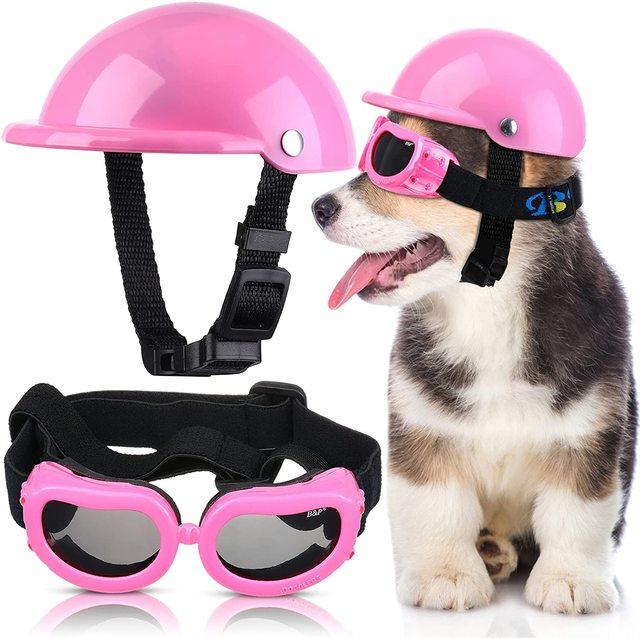 Capacete E Óculos Para Cachorros - Petit Helmet