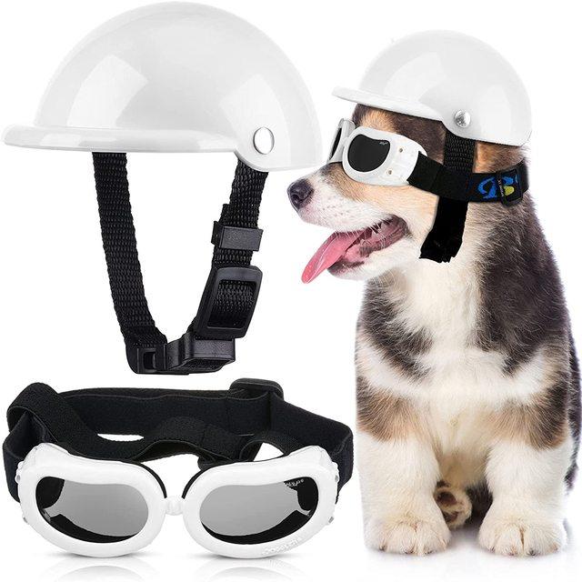 Capacete E Óculos Para Cachorros - Petit Helmet