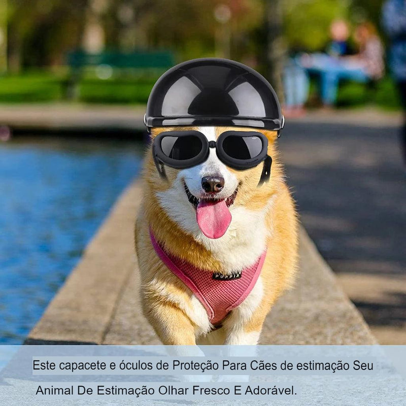 Capacete E Óculos Para Cachorros - Petit Helmet