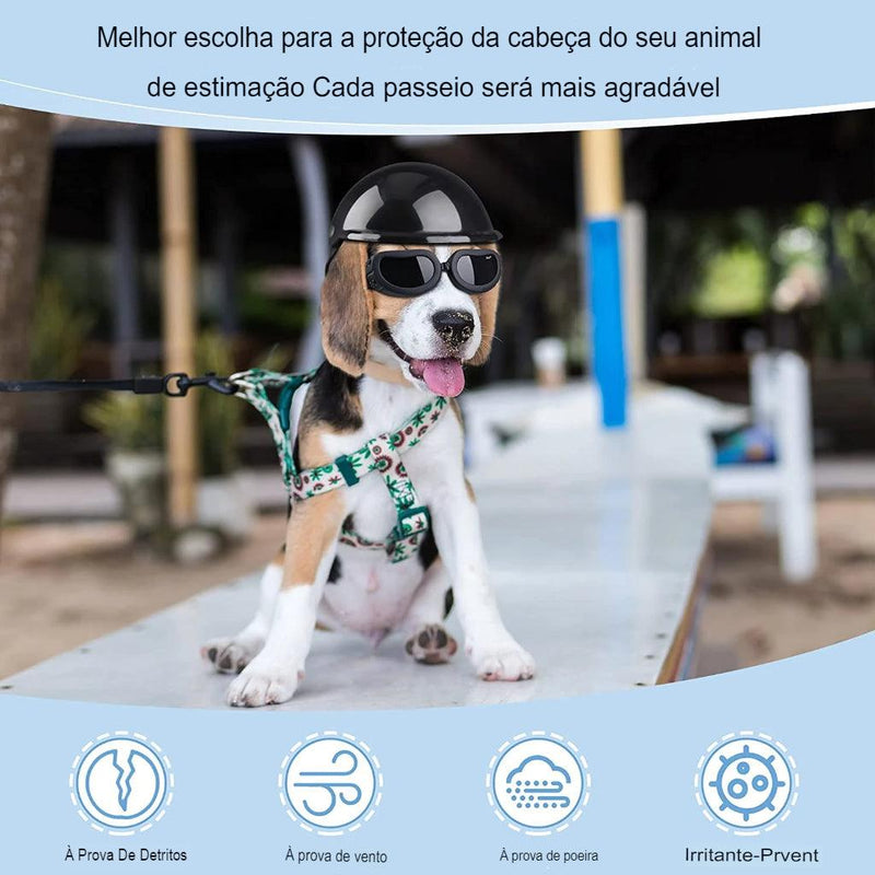 Capacete E Óculos Para Cachorros - Petit Helmet