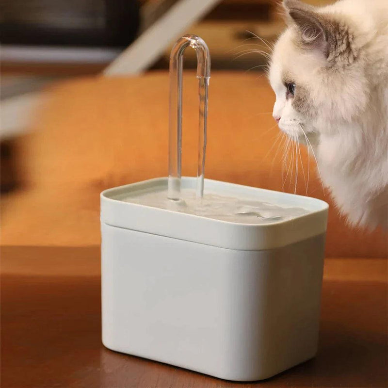 Fonte De Água Para Gatos Acqua Pró - Bebedouro Para Gato - Bivolt USB